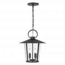 Crystorama AND-9204-CL-MK - Andover 4 Light Matte Black Outdoor Pendant