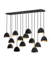Hinkley 35909SHB - Fourteen Light Linear